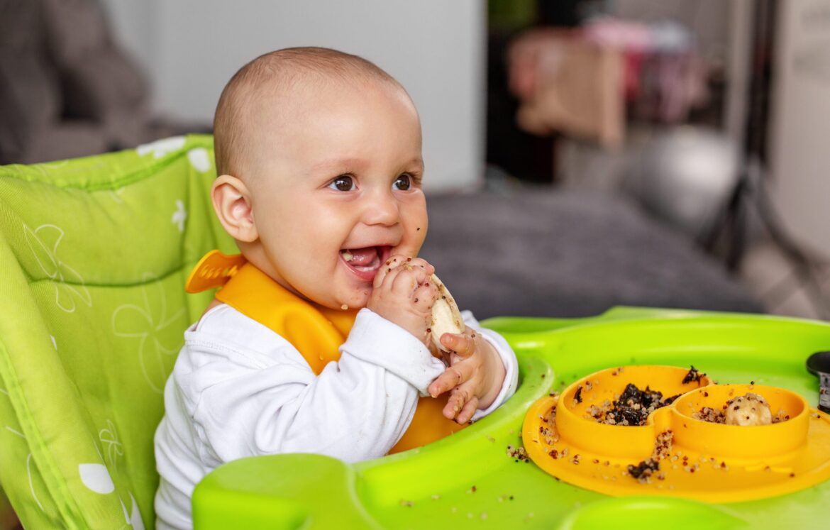baby led weaning baby-led-weaning